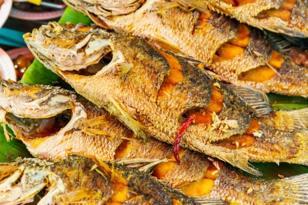 Grilled fish - Cabana large