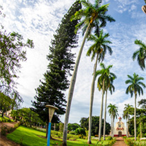 Photo shoot garden at SplashWorld park